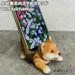 X}zX^h QׂČ ObY woobia E[rA  Ck   Aj} X}zz_[  v[g Mtg 蕨 u  A Aj}IuWF CeA 