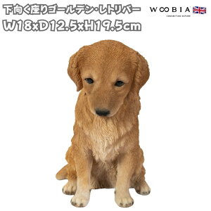 ̒u S[fEgo[ 19.5cm woobia E[rA 傫 킢  K[f CeA IuWF  v[g k  G  _ ʔ  M