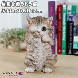 u Жڂ𕢂gL lR 17cm woobia E[rA 傫 킢  K[f CeA IuWF  v[g k  G  _ ʔ  Mtg O  A