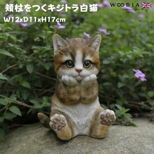 u  jLWgL lR 17cm woobia E[rA 傫 킢  K[f CeA IuWF  v[g k  G _ ʔ  Mtg O  