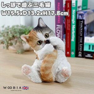 u ۂŗVԎOєL lR 17.8cm woobia E[rA 傫 킢  K[f CeA IuWF  v[g k  G  _ ʔ  Mtg O  