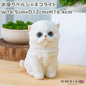 u L yVlR 16.4cm woobia E[rA 傫 킢  K[f CeA IuWF   v[g k  G  _ ʔ  Mtg O  