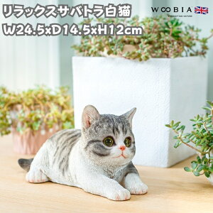 u bNXTogL lR 12cm woobia E[rA 傫 킢  K[f CeA IuWF  v[g k  G  _ ʔ  Mtg O  