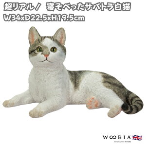 u QׂTogL lR 19.5cm woobia E[rA 傫 킢  K[f CeA IuWF   v[g k  G  _ ʔ  Mtg 