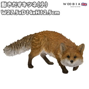 u Lcl  12.5cm woobia E[rA 傫 킢  K[f CeA IuWF  v[g k  G  _ ʔ  Mtg O  A 