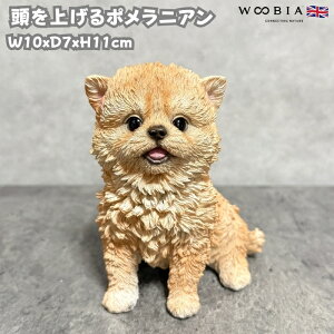  u  グ|jA 킢  IuWF CeA woobia E[rA Ck K[f gC  v[g k  G _ ʔ  Mtg O 