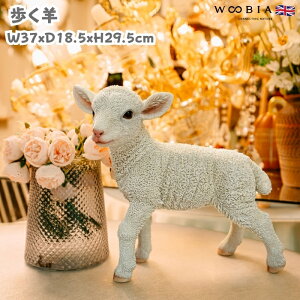 u  r 29.5cm woobia E[rA 傫 킢  K[f CeA IuWF  v[g k  G _ ʔ  Mtg O  A ֐ K[f