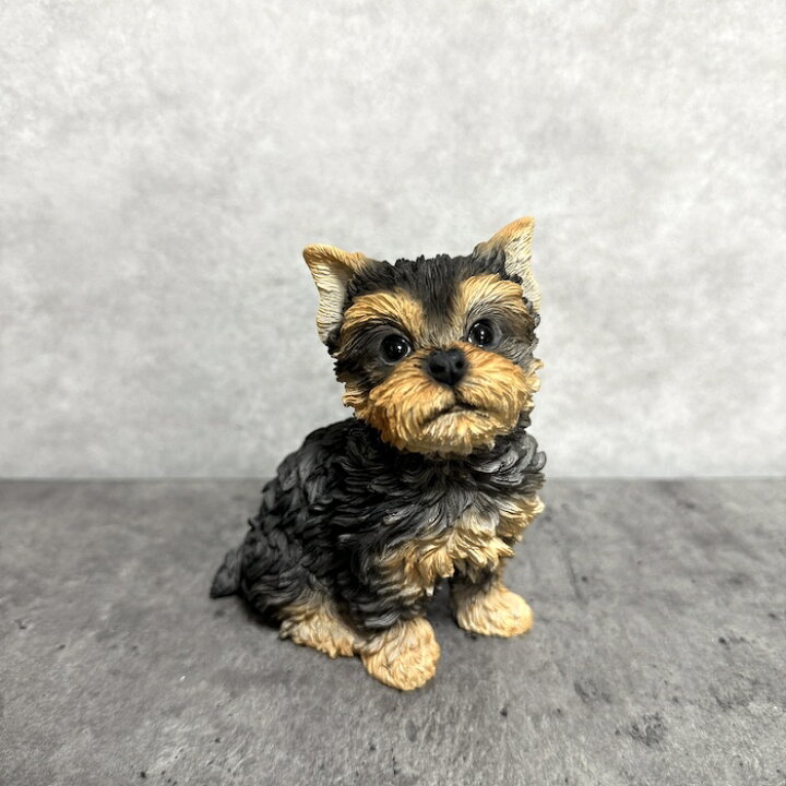 楽天市場】犬 置物 小さい かわいい おしゃれ 頭を上げるヨークシャー 