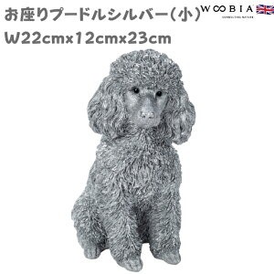 u ҂ăv[h Vo[  F  23cm woobia E[rA 傫 킢  K[f CeA IuWF  v[g k  G  _ ʔ  Mtg 
