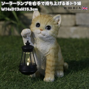 L̒u \[[vEŎグ钃gL 17cm woobia E[rA 傫 킢  K[f CeA IuWF  v[g k  G  _ ʔ