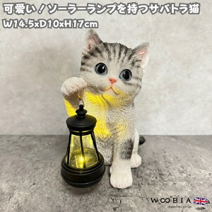 L̒u \[[vEŎグTogL 17cm woobia E[rA 傫 킢  K[f CeA IuWF  v[g k  G  _ ʔ