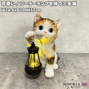 L̒u \[[vEŎグOєL 17cm woobia E[rA 傫 킢  K[f CeA IuWF  v[g k  G  _ ʔ 