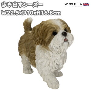 ̒u oV[Y[ 16.8cm woobia E[rA 傫 킢  K[f CeA IuWF  v[g k  G  _ ʔ  Mtg O  A