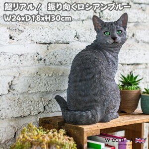 u UVAu[ L lR 30cm woobia E[rA 傫 킢  K[f CeA IuWF   v[g k  G  _ ʔ  Mtg 
