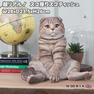 u XR XReBbVtH[hꎨ L lR 26cm woobia E[rA 傫 킢  K[f CeA IuWF   v[g k  G  _