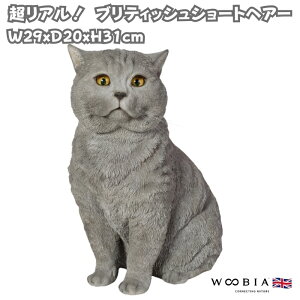 u ueBbV V[gwA[ L lR 31cm woobia E[rA 傫 킢  K[f CeA IuWF   v[g k  G  _ 
