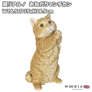 u ˂}`J L lR 28.5cm woobia E[rA 傫 킢  K[f CeA IuWF   v[g k  G  _ ʔ  Mtg 