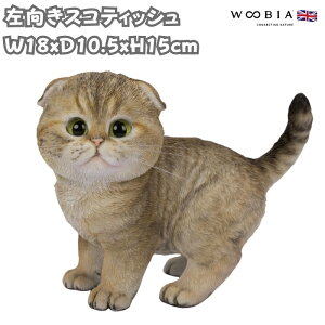u XReBbV tH[hꎨ  lR 15cm woobia E[rA 傫 킢  K[f CeA IuWF  v[g k  G  _ ʔ