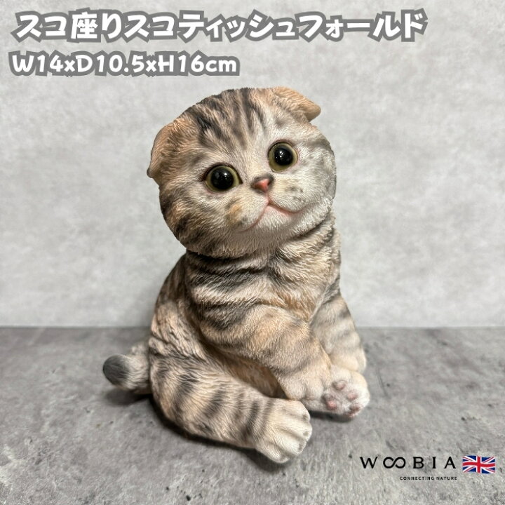 楽天市場】猫 置物 リアル 小さい かわいい スコ座りスコティッシュ 