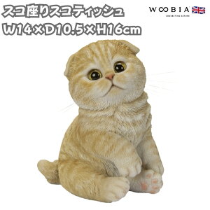 L̒u XRXReBbVtH[hꎨglR 16cm woobia E[rA 킢  K[f CeA IuWF  v[g k  G  _ ʔ