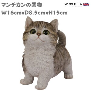 u L }`J Tog lR 15cm woobia E[rA 傫 킢  K[f CeA IuWF   v[g k  G  _ ʔ  Mtg 