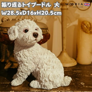 ̒u UԂgCv[h   20.5cm woobia E[rA 傫 킢  K[f CeA IuWF  v[g k  G  _ ʔ  Mtg 
