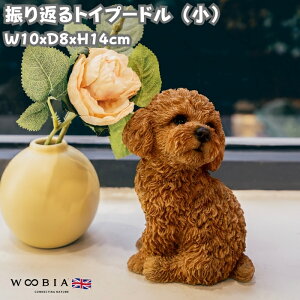 킢  u UԂgCv[h uE  woobia E[rA Ck  K[f CeA gC IuWF  v[g k  G  _ ʔ  Mtg 