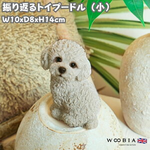 킢  u UԂgCv[h   woobia E[rA Ck  K[f CeA gC IuWF  v[g k  G  _ ʔ  Mtg O  