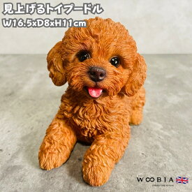 かわいい 犬 置物 見上げるトイプードル ブラウン woobia ウービア イヌ おしゃれ ガーデン インテリア トイレ オブジェ 可愛い プレゼント 北欧 玄関 雑貨 動物 モダン 面白い 庭 ギフト 屋外 家 リアル 玄関先 卓上 ガーデンオーナメント ガーデニング