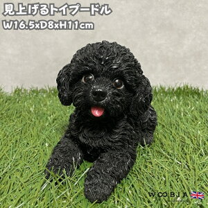 킢  u グgCv[h ubN  woobia E[rA Ck  K[f CeA gC IuWF  v[g k  G  _ ʔ  Mtg 