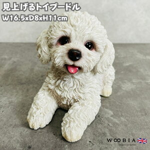 킢  u グgCv[h  woobia E[rA Ck  K[f CeA gC IuWF  v[g k  G  _ ʔ  Mtg O  A