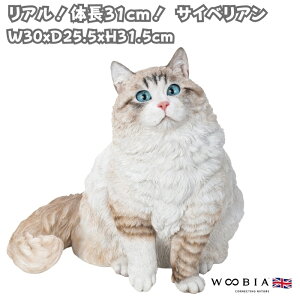 u TCxA lR L 31.5cm woobia E[rA 傫 킢  K[f CeA IuWF   v[g k  G  _ ʔ  Mtg O  