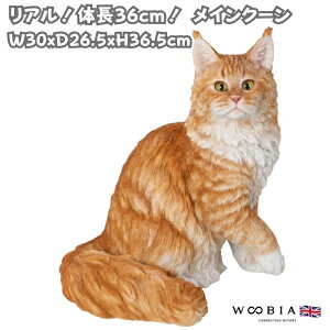 L u Ał킢  傫 CN[ lR L 36.5cm woobia E[rA K[f CeA IuWF   v[g k  G  _ ʔ  Mt