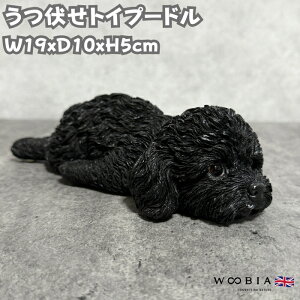 킢  u gCv[h ubN woobia E[rA Ck  K[f CeA gC IuWF  v[g k  G  _ ʔ  Mtg O 