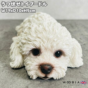 킢  u gCv[h  woobia E[rA Ck  K[f CeA gC IuWF  v[g k  G  _ ʔ  Mtg O  A