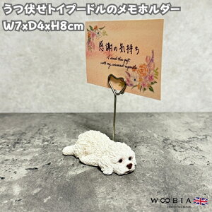 ̃X^h gCv[h  woobia E[rA ObY 킢Nbv z_[ h fXN 蕨 u  A CeA   G v[g 