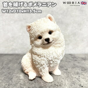  u  X|jA 킢  IuWF CeA woobia E[rA Ck K[f gC  v[g k  G _ ʔ  Mtg O 