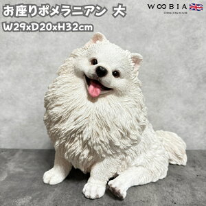 u |jA   Ck 26.5cm IuWF woobia E[rA 傫 킢  K[f CeA ^  v[g k  G  _ ʔ  M