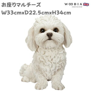  u 傫 }`[Y 34cm woobia E[rA ^ 킢  K[f CeA IuWF  v[g k  G  _ ʔ  Mtg O  