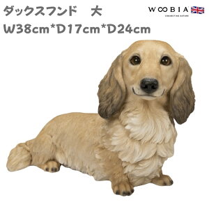 u _bNXth N[   Ck 24cm woobia E[rA 傫 킢  K[f CeA IuWF   v[g k  G  _ ʔ  M