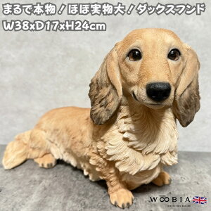 u _bNXth N[   Ck 24cm woobia E[rA 傫 ^ 킢  K[f CeA IuWF   v[g k  G  _ ʔ 