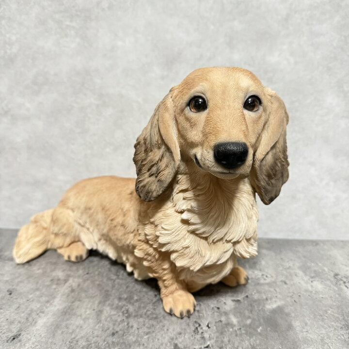 楽天市場】犬 置物 大きい ダックスフンド クリーム 大 横幅38cm 