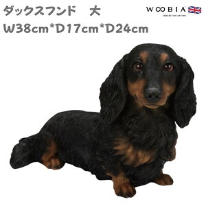 u _bNXth   Ck 24cm woobia E[rA 傫 ^ 킢  K[f CeA IuWF   v[g k  G  _ ʔ  Mtg 