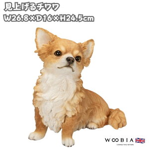  u 傫 グ` 24.5cm woobia E[rA 킢  K[f CeA IuWF  v[g k  G  _ ʔ  Mtg O  A 