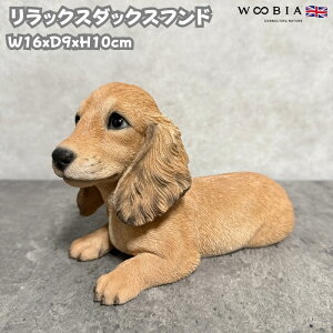  u  bNX_bNXthN[  킢  IuWF CeA woobia E[rA Ck K[f gC  v[g k  G _ ʔ  