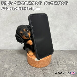 X}zX^h _bNXthubN^ ObY woobia E[rA  Ck   Aj} X}zz_[  v[g Mtg 蕨 u  A Aj}IuWF C