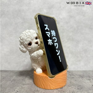 X}zX^h DancinggCv[h woobia E[rA  Ck   Aj} X}zz_[  v[g Mtg 蕨 u  A Aj}IuWF CeA 