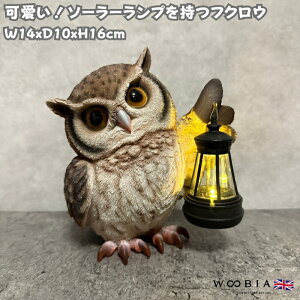 ̒u \[[vŎグtNE 16cm N  woobia E[rA 傫 킢  K[f CeA IuWF  v[g k  G  