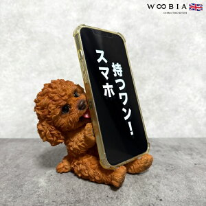 X}zX^h gCv[h bh ObY woobia E[rA  Ck   Aj} X}zz_[  v[g Mtg 蕨 u  A Aj}IuWF C