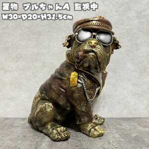 ̒u uA 31.5cm 킢 IuWF k  _ 傫  K[f CeA v[g  G _ ʔ Mtg  A